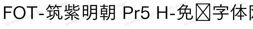 FOT-筑紫明朝 Pr5 H字体转换